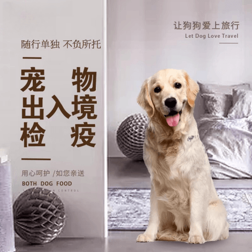 大渡口区宠物托运到哥伦比亚猫狗宠物入境规定和