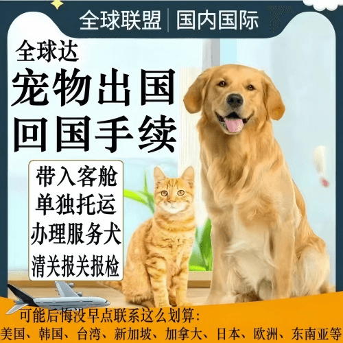 大渡口区宠物托运到柬埔寨宠物入境规定和要求