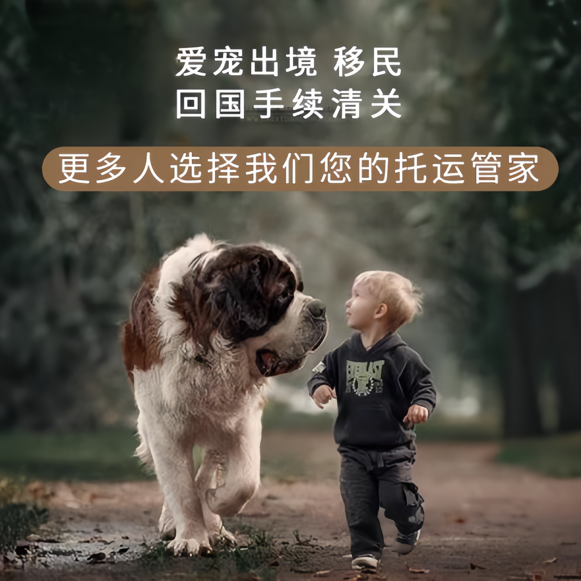 满财大渡口区宠物全球达宠物托运在遵守入境目的地政策的条件