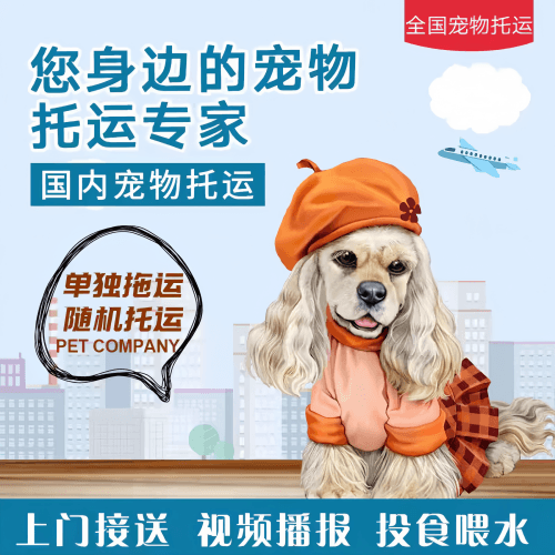 满财大渡口区宠物全球达宠物托运作为专业的宠物运输代理机构